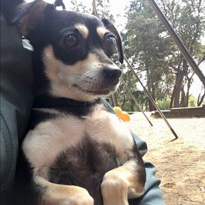 Meet your Posher, Hannah